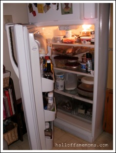 Does your refrigerator stink?