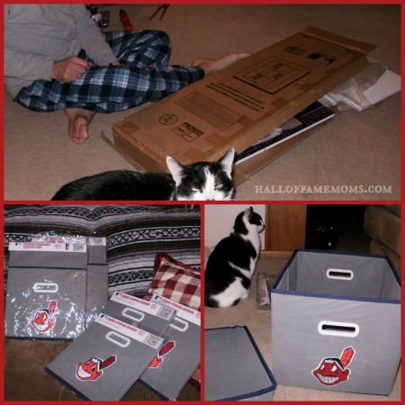 My Owners Box 6 Cube Organizer with MLB emblem.