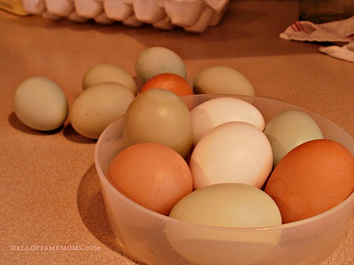 farm fresh eggs