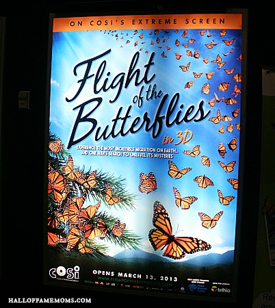 Flight of the Butterfly at Cosi