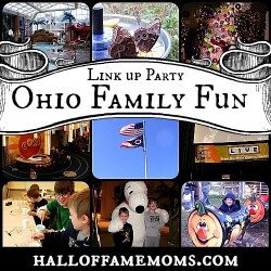 Ohio Family Fun Link up Party