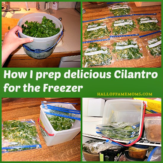 How I prep and freeze cilantro