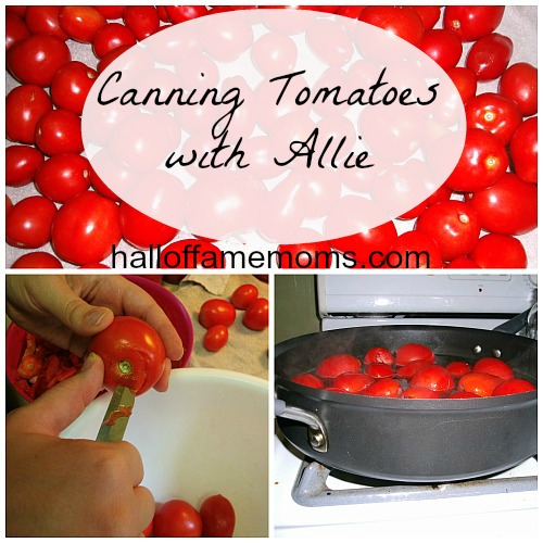 what you need to can tomatoes
