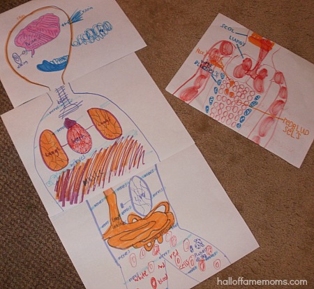 children's drawings of human body