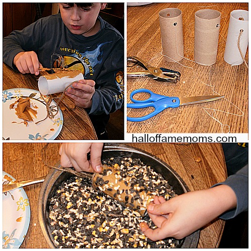 bird feeder without peanut butter