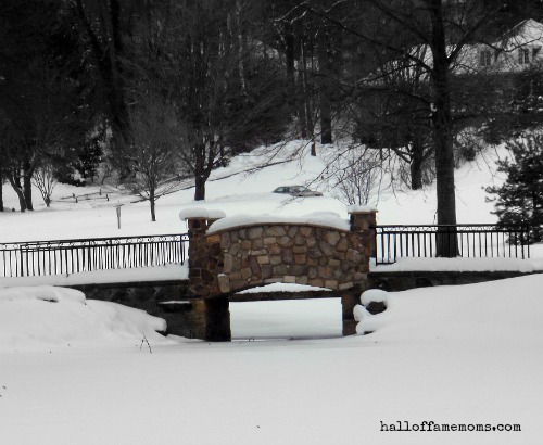 snowy bridge