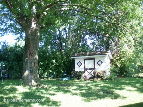 Our oak tree makes for a shady backyard.