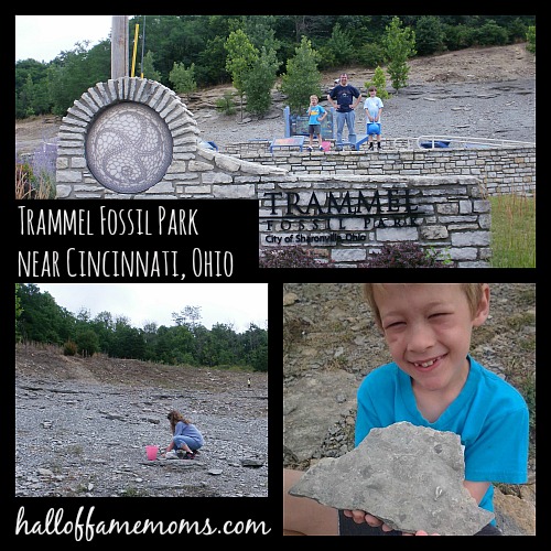 Dig your own Fossils for FREE at Trammel Fossil Park in Cincinnati