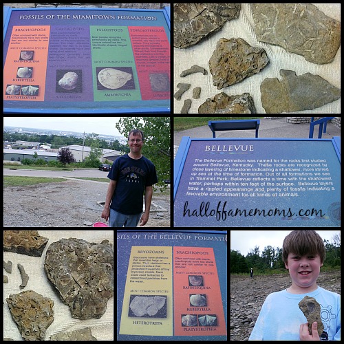 FREE: Trammel Fossil Park in Ohio