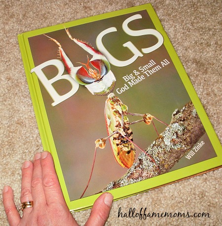 Bugs by Will Zinke, a Master Books review.