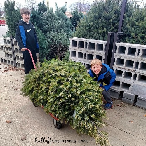 Picking our Christmas Tree