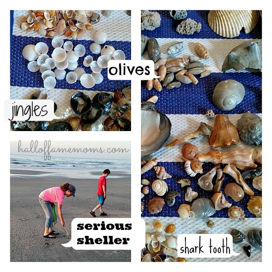 Shelling at Myrtle Beach