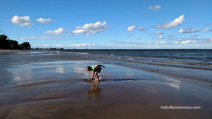 Cedar Point and Lake Erie beach