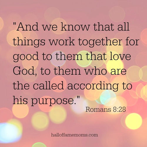 Romans 8:28 