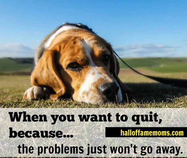 When you want to quit because the problems don't stay away.