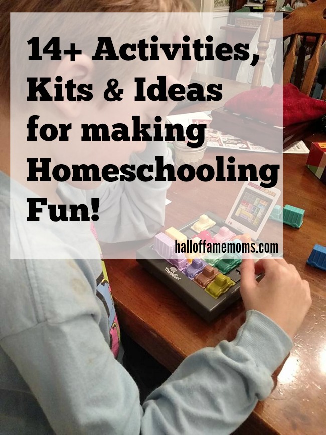 14+ Activities, Kits & Ideas for Homeschooling fun