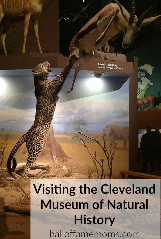 Visiting the Cleveland Museum of History