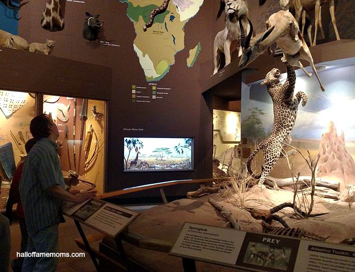 Visiting the CMNH 2016 in Ohio