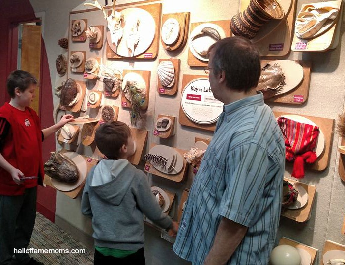 Cleveland Musuem of Natural History visit