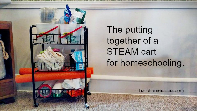 This will be our STEAM (STEM) cart for homeschool 2016-2017.
