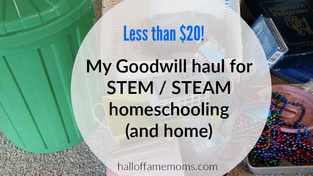 Check out my Goodwill haul of STEAM homeschooling supplies & more