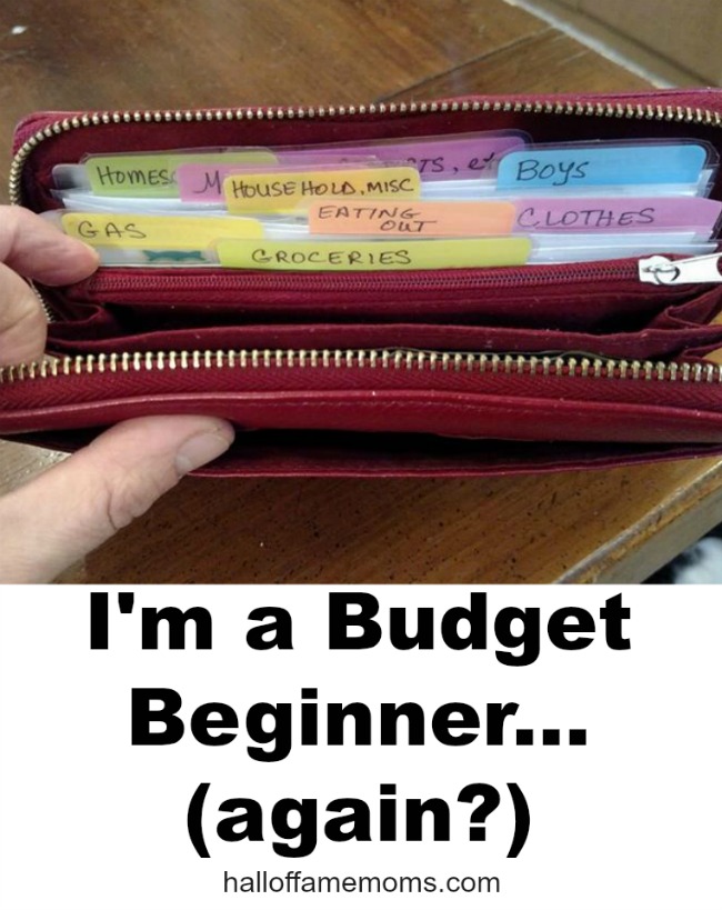 How I'm beginning a Budget 