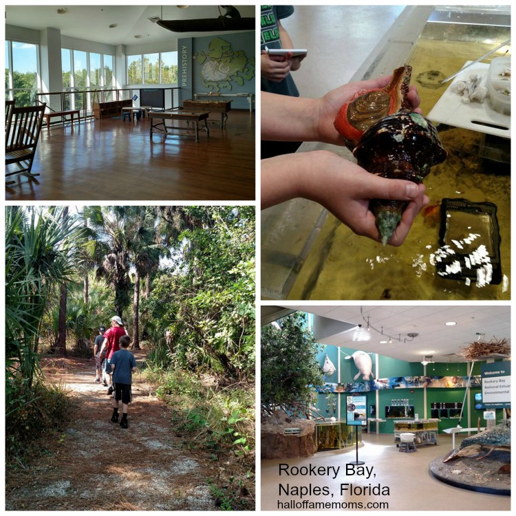 Visiting Rookery Bay Environmental Learning Center in Naples, FL