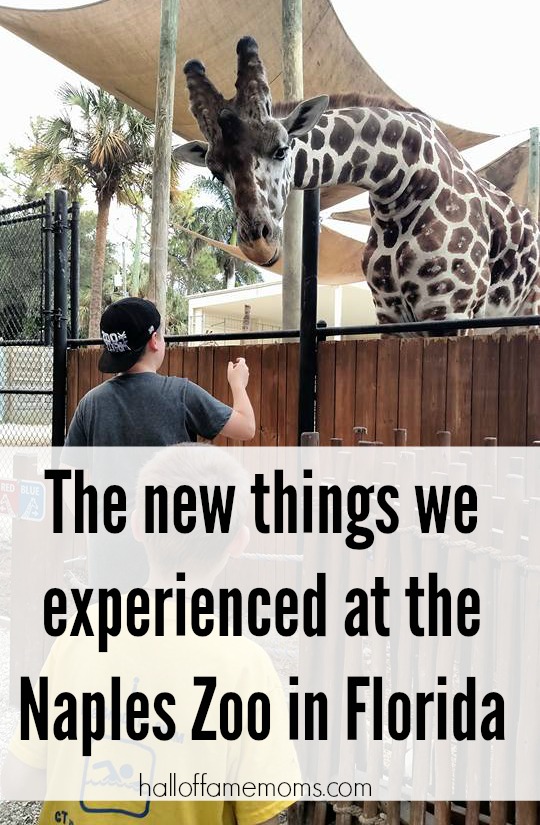 Visiting the Naples Zoo in Florida