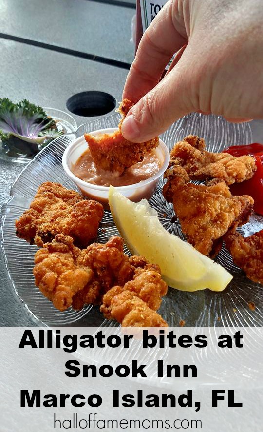 We ate alligator at Snook Inn on Marco Island, Florida