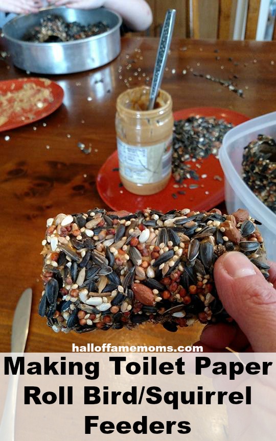 How to make Toilet Paper Bird / Squirrel Feeders