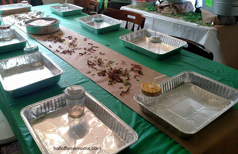 Budget Friendly Military Themed Birthday Party : Our Mess Hall