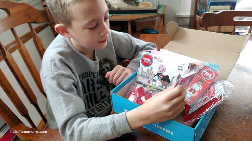 See Inside this BRICKLOOT Subscription Box UNBOXING