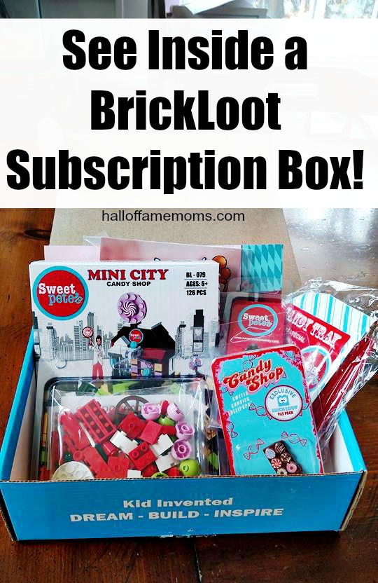 See Inside this BRICKLOOT Subscription Box UNBOXING