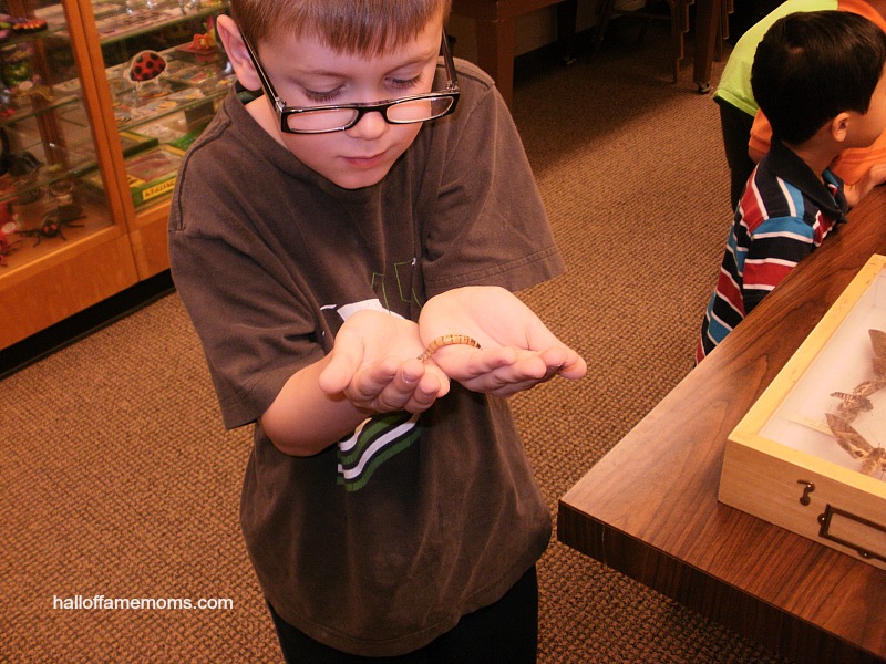 Find Homeschool Classes offered at Ohio Zoos and Museums Here