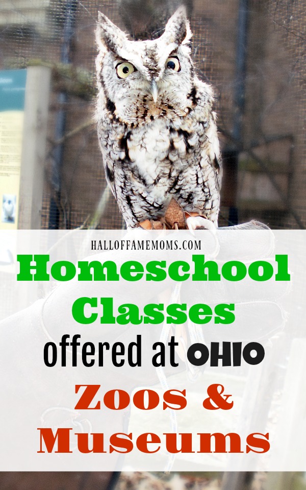 Homeschool Classes offered at Ohio Zoos and Museums