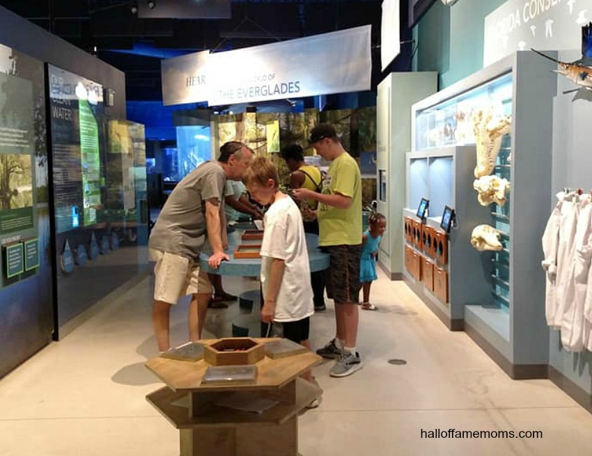 Inside the South Florida Science Center and Aquarium