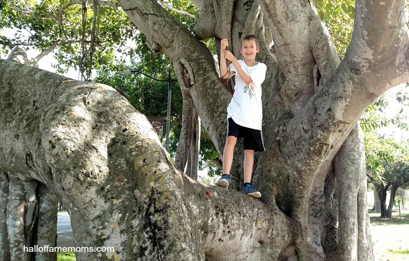 Homeschoolers Exploring the SE coast of Florida - Part 1