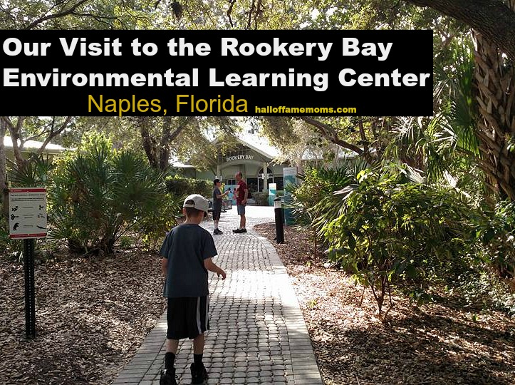 Our Visit to the Rookery Bay Environmental Learning Center, Naples, FL (Pt 5)