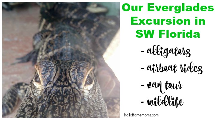 Visiting an Alligator Farm, Airboat Ride & Everglades Excursion Tour (Pt 9)