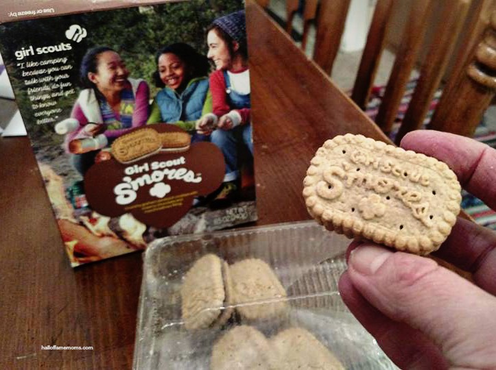 My Absence & thoughts on the NEW Girl Scout cookie