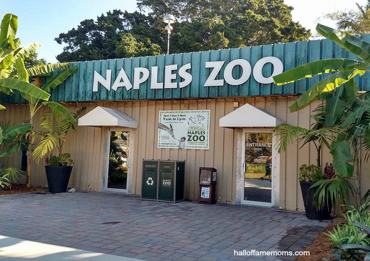 Visiting the Naples Zoo in Florida (Pt 7)