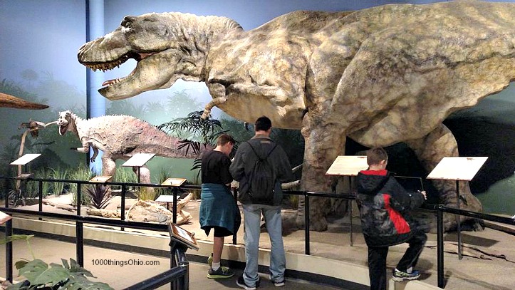 Inside our Visit to the Creation Museum