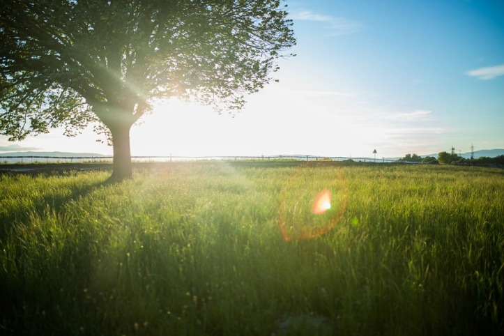 How to Prepare for a fun Camping Trip with Kids