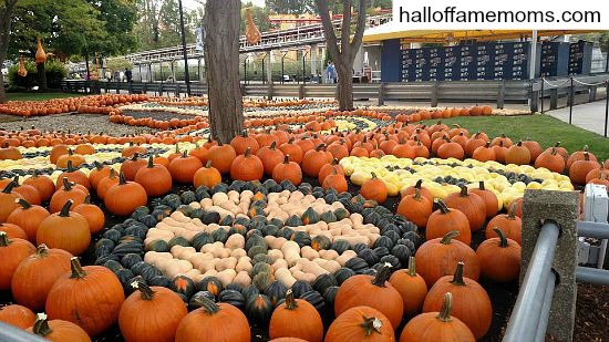 20+ Ohio Farms & Pumpkin Farms :: Field Trips & Fun