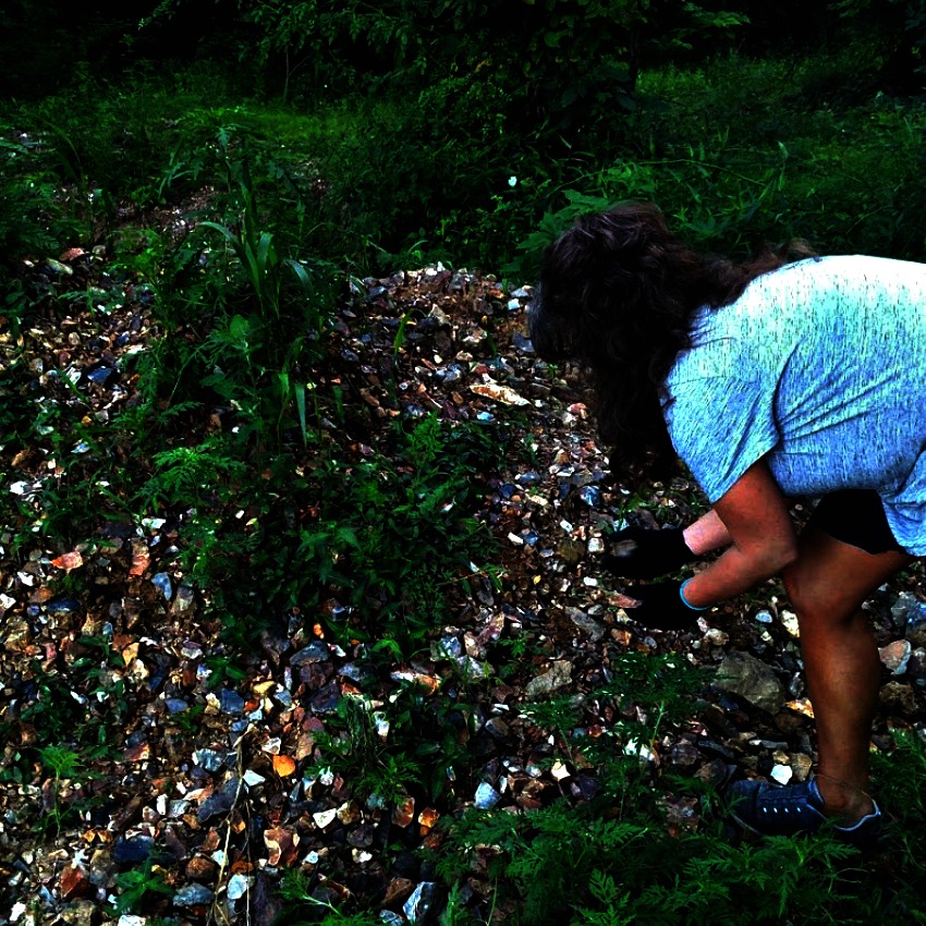 Image enhanced: Picking up flint at Nethers Farm