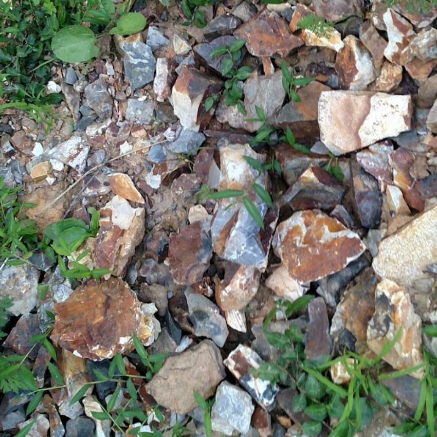 Flint Ridge flint at Nethers Farm, Ohio