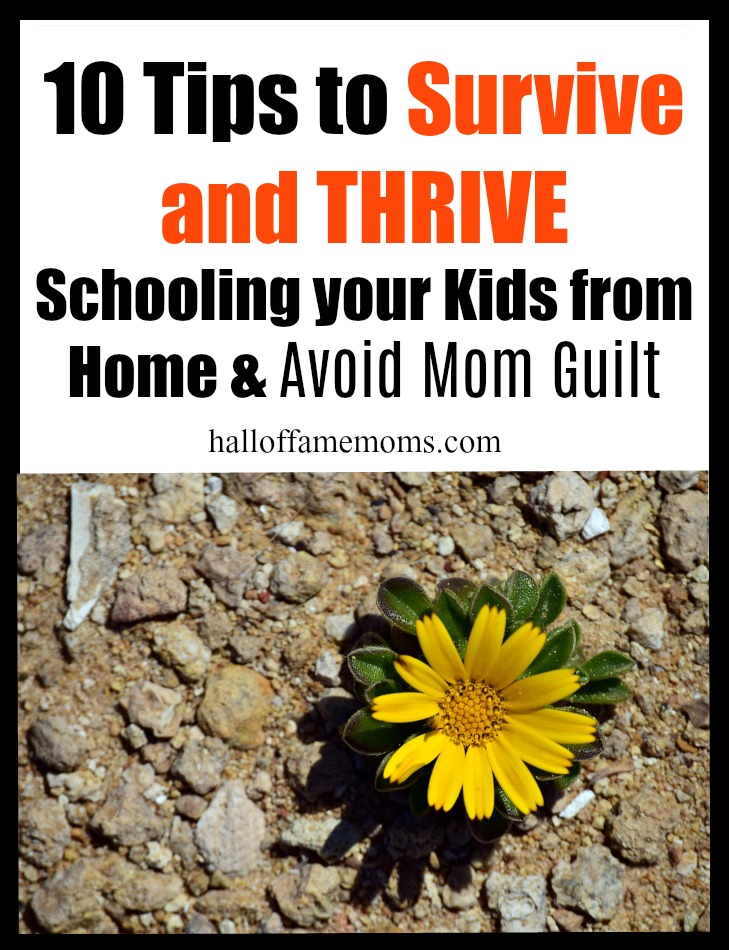 10 Tips to Survive and Thrive Schooling Your Kids from Home during this crisis