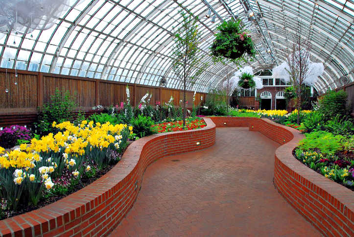 conservatory roof greenhouse