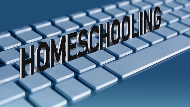 Our 10th Grade Homeschool Curriculum / Plans