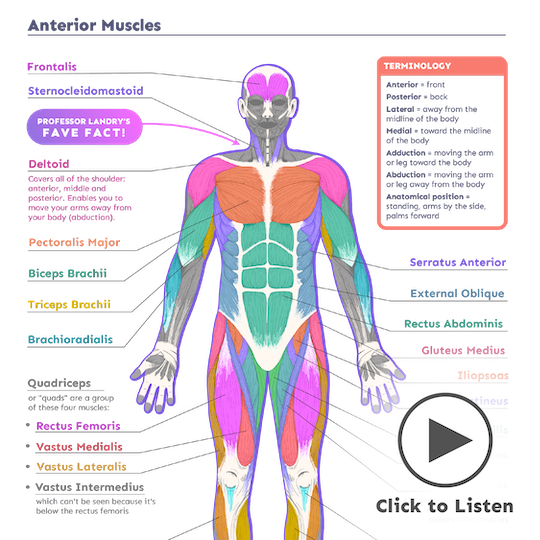 College Prep Science homeschool  freebies